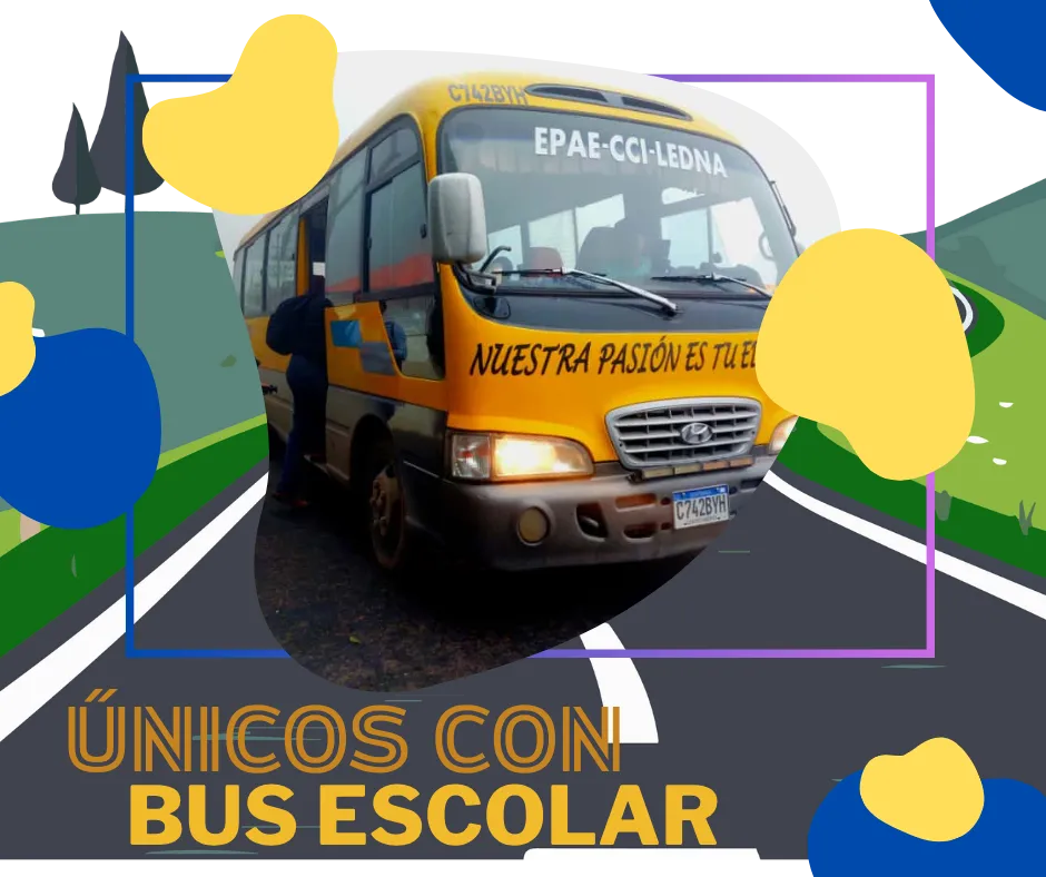 Hero Illustration - Software Development